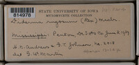 Image Associated With the Occurence